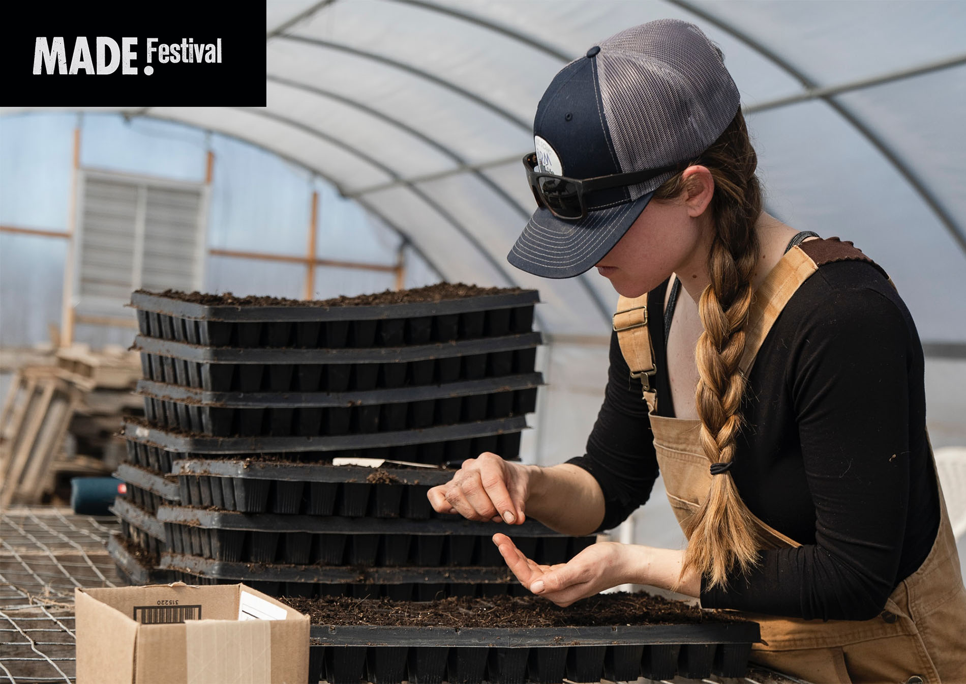 MadeFestival2023_Setzlinge